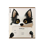 ТЕТРАДЬ 12 Л, КЛ. ERICHKRAUSE NOTE FRIENDS, MIX-PACK /10/280/ 