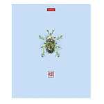 ТЕТРАДЬ 96 Л, А5, КЛ, ХАТБЕР. ЛЕТНЯЯ ФАНАТАЗИЯ, ЛАМ. SOFT-TOUCH, НА СКОБЕ /5/30/ РФ