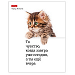 ТЕТРАДЬ 48 Л, А5, КЛ, ХАТБЕР, КОТОЮМОР, НА СКОБЕ /5/100/