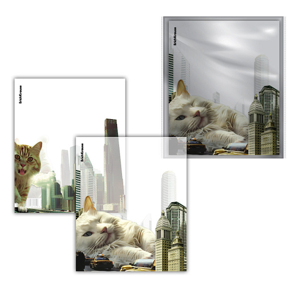ОБЛОЖКА Д/ТЕТРАДЕЙ И ДНЕВНИКОВ ERICHKRAUSE BIG CITY CATS, 212*347ММ, 80МКМ, АССОРТИ, 12ШТ /72/