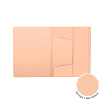 ПАПКА ДЛЯ ТЕТРАДЕЙ, А5+, ERICHKRAUSE MATT PASTAL BLOOM, 0,6 ММ, АССОРТИ, НА РЕЗИНКАХ /4/72/ РФ