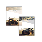 ОБЛОЖКА Д/ТЕТРАДЕЙ И ДНЕВНИКОВ ERICHKRAUSE ROAD BEAST, 212*347ММ, 80МКМ, АССОРТИ, 12ШТ /72/ РФ