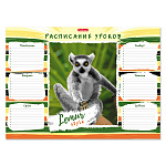 РАСПИСАНИЕ УРОКОВ А3, LEMUR STYLE /50/500/
