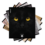 ТЕТРАДЬ 96 Л, А5+, КЛ. ERICHKRAUSE CATS, МАТ. ЛАМ. MIX-PACK /5/60/ РФ