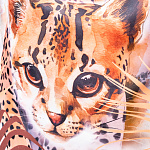 Мешок для обуви ErichKrause 500x410мм Wild Cat