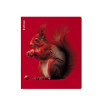 ТЕТРАДЬ 48 Л, А5, КЛ. ERICHKRAUSE SCARLET, ЛАМ. SOFT-TOUCH+ВЫБ. УФ-ЛАК, MIX-PACK /5/100/