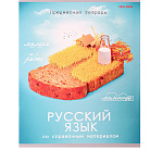 ТЕТРАДЬ 48 Л, ЛИН. ТЕМ. ПРОФ-ПРЕСС. ИГРЫ РАЗУМА. РУССКИЙ ЯЗЫК, ТВИН-ЛАК /10/80/