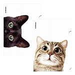 УГОЛОК А4. ПЛАСТ. ERICHKRAUSE HIDING CATS, 0,16 ММ, АССОРТИ /12/300/