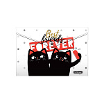 КОНВЕРТ ПЛАСТ. НА КНОПКЕ, A4, ЕRICHКRAUSE® FELINE FRIENDS, 0.16 ММ, НАБОР 04ШТ, АССОРТИ /60/