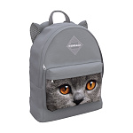 Рюкзак ErichKrause EasyLine® Animals 17L Grey Cat