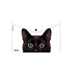 КОНВЕРТ ПЛАСТ. НА КНОПКЕ, A4, ERICHKRAUSE HIDING CATS, 0,16 ММ, АССОРТИ /12/240/