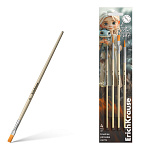 КИСТИ НАБОР ИЗ 04 ШТ. ERICHKRAUSE ВОЛШЕБНЫЙ ПИТОМЕЦ, ДЛЯ АКВ. И ГУАШИ, СИНТЕТИКА, БЛИСТЕР /12/288/