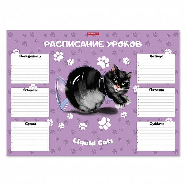 РАСПИСАНИЕ УРОКОВ А3, ERICH KRAUSE® ЖИДКИЕ КОТЫ /50/500/ РФ