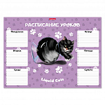 РАСПИСАНИЕ УРОКОВ А3, ERICH KRAUSE® ЖИДКИЕ КОТЫ /50/500/ РФ