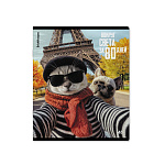 ТЕТРАДЬ 48 Л, А5, КЛ. ERICHKRAUSE КОШАЧЬЕ ПУТЕШЕСТВИЕ, ГЛЯНЦ. ЛАМ. MIX-PACK /5/100/