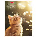 БЛОКНОТ-БИЗНЕС 80 Л, А5, КЛ, ХАТБЕР. СОЛНЕЧНЫЙ КОТИК, ТВ. ПЕРЕПЛЕТ, ГЛЯНЦ. ЛАМ. /20/