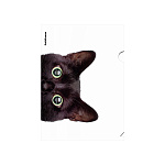 УГОЛОК А4. ПЛАСТ. ERICHKRAUSE HIDING CATS, 0,16 ММ, АССОРТИ /12/300/
