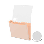 ПАПКА НА 13 ОТДЕЛОВ, ERICHKRAUSE MATT PASTEL BLOOM, 0,55 ММ, АССОРТИ /4/20/ РФ