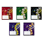 ТЕТРАДЬ 24 Л, КЛ. ERICHKRAUSE SPORT DNA, ВЫБ. УФ-ЛАК, КОНГРЕВ, MIX-PACK /10/160/ РФ