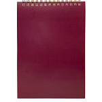 БЛОКНОТ 60 Л, А5, WORKMATE. ДЛЯ КОНФЕРЕНЦИЙ, БОРДО, НА ГРЕБНЕ /60/