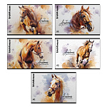 АЛЬБОМ Д/РИС. 40 Л. A4, ERICHKRAUSE ДИКИЙ СКАКУН, ТВИН-ЛАК, НА СКОБЕ, МИКС /5/30/