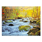 КАЛЕНДАРЬ КВАРТАЛЬНЫЙ 2026, ОСЕНЬ В ЛЕСУ /30/