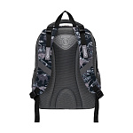 Ученический рюкзак ErichKrause ErgoLine® 15L Dinosaur Park