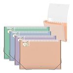 ПАПКА НА 13 ОТДЕЛОВ, ERICHKRAUSE MATT PASTEL BLOOM, 0,55 ММ, АССОРТИ /4/20/ РФ