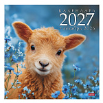 КАЛЕНДАРЬ НАСТЕННЫЙ 2027, ХАТБЕР СТАНДАРТ. СИМВОЛ ГОДА-ОВЕЧКИ, 30*30 СМ, МЕЛ. БУМ. НА СКОБЕ /25/