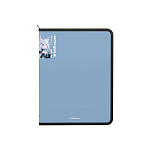 ПАПКА ДЛЯ ТЕТРАДЕЙ, А4+, ERICHKRAUSE MATT MANGA, 0,6 ММ, НА МОЛНИИ, АССОРТИ /4/24/ РФ