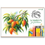 АЛЬБОМ Д/РИС. 40 Л, А4, СВЕТОЧ. ЦВЕТНЫЕ ЗАРИСОВКИ МИКС, НА СКОБЕ /5/30/
