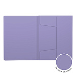 ПАПКА НА РЕЗИНКАХ ПЛАСТ, A4, ERICHKRAUSE MATT MANGA, 0,6 ММ, АССОРТИ /4/96/ РФ