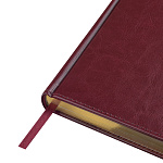 ЕЖЕДНЕВНИК 2026 ГОД, A5+, SIDNEY NEBRASKA, БЕЛ. БЛОК, ЗОЛ. СРЕЗ, БОРДОВЫЙ /10/