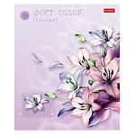 ТЕТРАДЬ 80 Л, А5, КЛ, ХАТБЕР. ЭСТЕТИКА ЦВЕТОВ, ЛАМ. SOFT-TOUCH, НА СКОБЕ /5/40/ РФ