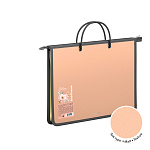 ПАПКА ДЛЯ ТЕТРАДЕЙ, А4, ERICHKRAUSE MATT PASTEL, 0,6 ММ, МОЛНИЯ СВЕРХУ, С РУЧКАМИ, АССОРТИ /4/36/ РФ