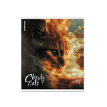 ТЕТРАДЬ 48 Л, А5, КЛ. ERICHKRAUSE CLOUDY CARS, МАТ. ЛАМ. MIX-PACK /5/100/