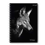 ТЕТРАДЬ 80 Л, А4, КЛ. СВЕТОЧ. ВОЛК, ТВ. ОБЛ. МАТ. ЛАМ, НА ГРЕБНЕ /2/20/