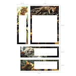 ЗАКЛАДКИ 70*52 ММ/20*70 ММ/70*20 ММ ERICHKRAUSE BIG CITY CATS, 80Л, С/КЛ, БУМАГА, АССОРТИ /24/432/