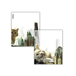 ОБЛОЖКА Д/ТЕТРАДЕЙ И ДНЕВНИКОВ ERICHKRAUSE BIG CITY CATS, 212*347ММ, 80МКМ, АССОРТИ, 12ШТ /72/