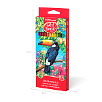 КАРАНДАШИ ЦВ. 24 ШТ, ARTBERRY®, ТРЕУГОЛЬНЫЕ, АССОРТИ, Е/П /6/120/