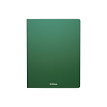 ПАПКА С ФАЙЛАМИ НА 10 КАРМАНОВ. ERICHKRAUSE CLASSIC, 0,4 ММ, ЗЕЛЕНЫЙ /4/ РФ