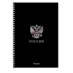 ТЕТРАДЬ 96 Л, А4, КЛ, АППЛИКА. РОССИЯ, ОБЛ. МЕЛ. КАРТОН, НА ГРЕБНЕ /20/