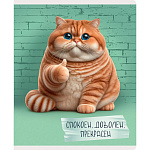 ТЕТРАДЬ 48 Л, А5, КЛ, ЭКСМО. ОСТОРОЖНО, КОТ! МЕЛ. КАРТОН, ГЛЯНЦ. ЛАМ. КОНГРЕВ, ОФСЕТ, ПОЛЯ /10/100/