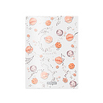 Набор из 4 папок-уголков пластиковых ErichKrause® Martian Girl, A4, ассорти