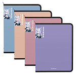 ПАПКА ДЛЯ ТЕТРАДЕЙ, А4+, ERICHKRAUSE MATT MANGA, 0,6 ММ, НА МОЛНИИ, АССОРТИ /4/24/ РФ