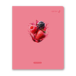 ТЕТРАДЬ 96 Л, А5, КЛ. СВЕТОЧ. ЯГОДНЫЙ ВЗРЫВ, ВЫБ ЛАК, НА СКОБЕ /5/30/