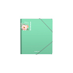 ПАПКА ДЛЯ ТЕТРАДЕЙ, А5+, ERICHKRAUSE MATT PASTAL BLOOM, 0,6 ММ, АССОРТИ, НА РЕЗИНКАХ /4/72/ РФ