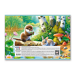 АЛЬБОМ Д/РИС. 32 Л, А4, СВЕТОЧ. ЛЕСНЫЕ ИСТОРИИ, НА СКОБЕ /5/35/