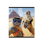 ТЕТРАДЬ 48 Л, А5, КЛ. ERICHKRAUSE КОШАЧЬЕ ПУТЕШЕСТВИЕ, ГЛЯНЦ. ЛАМ. MIX-PACK /5/100/