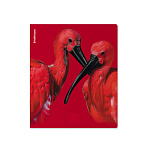 ТЕТРАДЬ 48 Л, А5, КЛ. ERICHKRAUSE SCARLET, ЛАМ. SOFT-TOUCH+ВЫБ. УФ-ЛАК, MIX-PACK /5/100/